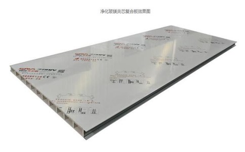 app雷竞技
的重量是多少？（介绍app雷竞技
的重量特点）